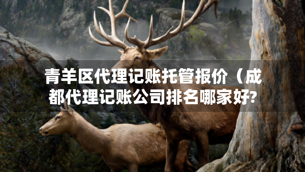 青羊區(qū)代理記賬托管報價（成都代理記賬公司排名哪家好?）
