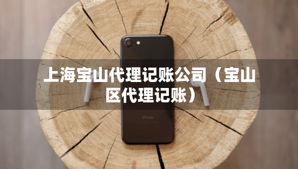 上海寶山代理記賬公司（寶山區(qū)代理記賬）