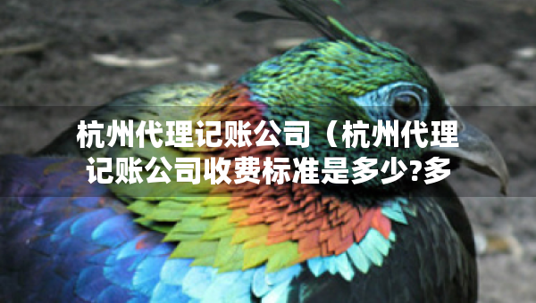杭州代理記賬公司（杭州代理記賬公司收費(fèi)標(biāo)準(zhǔn)是多少?多少錢）