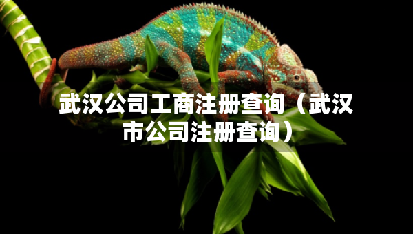 武漢公司工商注冊(cè)查詢(xún)（武漢市公司注冊(cè)查詢(xún)）