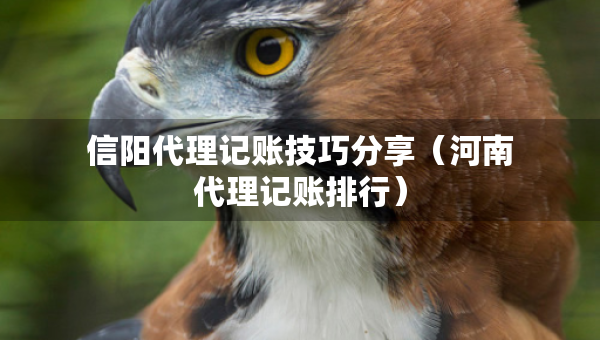 信陽代理記賬技巧分享（河南代理記賬排行）