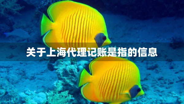 關于上海代理記賬是指的信息