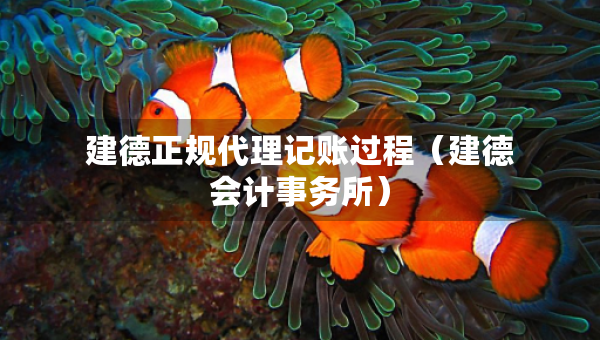 建德正規(guī)代理記賬過程（建德會計事務所）