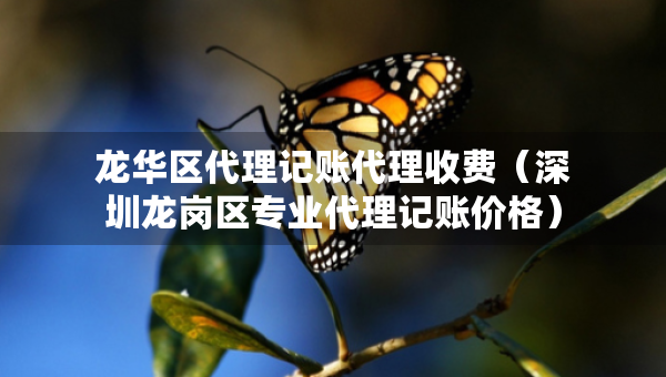龍華區(qū)代理記賬代理收費（深圳龍崗區(qū)專業(yè)代理記賬價格）