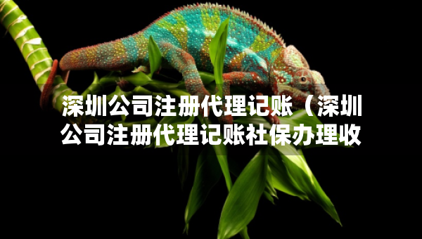 深圳公司注冊代理記賬（深圳公司注冊代理記賬社保辦理收費(fèi)標(biāo)準(zhǔn)）