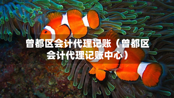 曾都區(qū)會(huì)計(jì)代理記賬（曾都區(qū)會(huì)計(jì)代理記賬中心）