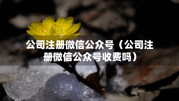 公司注冊微信公眾號（公司注冊微信公眾號收費嗎）