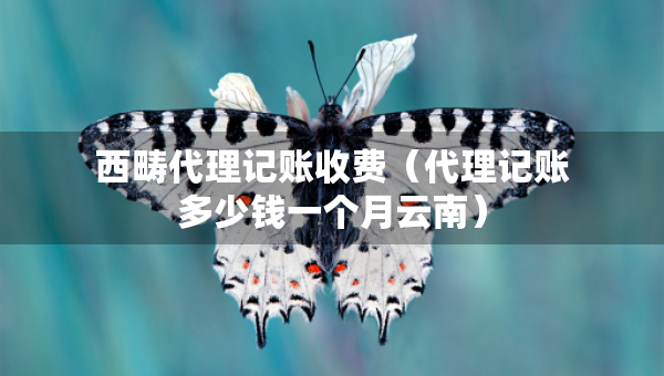 西疇代理記賬收費(fèi)（代理記賬多少錢一個(gè)月云南）