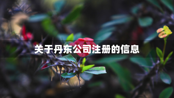 關(guān)于丹東公司注冊(cè)的信息