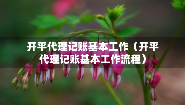 開平代理記賬基本工作（開平代理記賬基本工作流程）