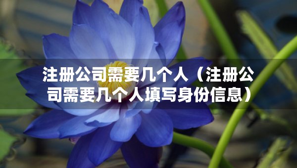 注冊公司需要幾個(gè)人（注冊公司需要幾個(gè)人填寫身份信息）