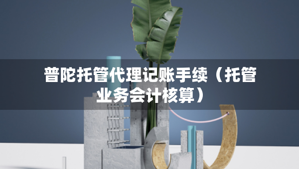普陀托管代理記賬手續(xù)（托管業(yè)務(wù)會(huì)計(jì)核算）
