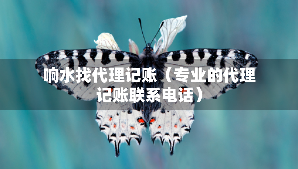 響水找代理記賬（專業(yè)的代理記賬聯(lián)系電話）