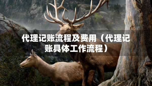 代理記賬流程及費(fèi)用（代理記賬具體工作流程）
