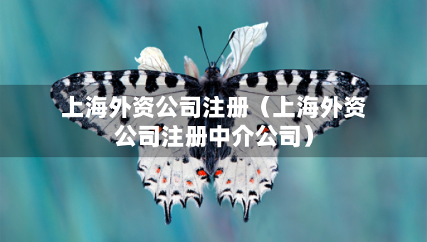 上海外資公司注冊（上海外資公司注冊中介公司）