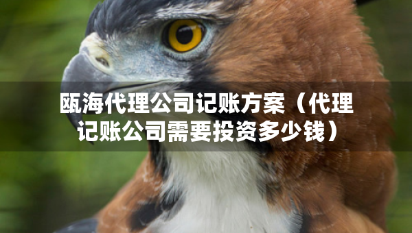 甌海代理公司記賬方案（代理記賬公司需要投資多少錢）