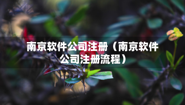 南京軟件公司注冊（南京軟件公司注冊流程）
