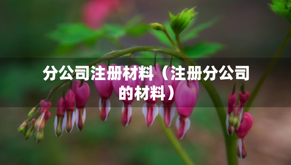 分公司注冊材料（注冊分公司的材料）