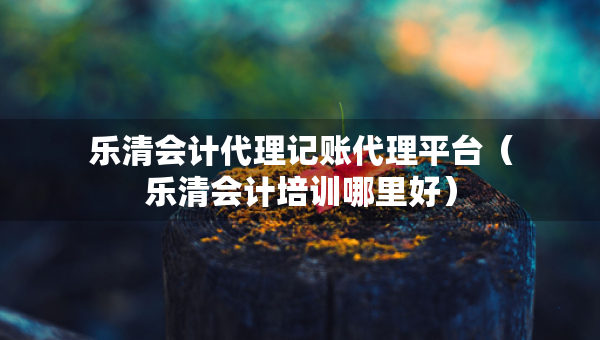 樂(lè)清會(huì)計(jì)代理記賬代理平臺(tái)（樂(lè)清會(huì)計(jì)培訓(xùn)哪里好）