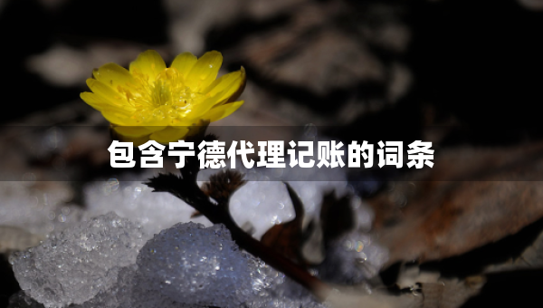 包含寧德代理記賬的詞條