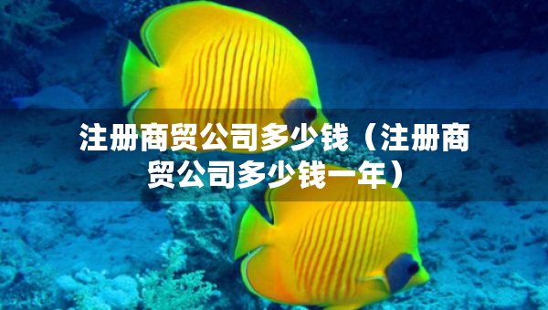 注冊(cè)商貿(mào)公司多少錢(qián)（注冊(cè)商貿(mào)公司多少錢(qián)一年）