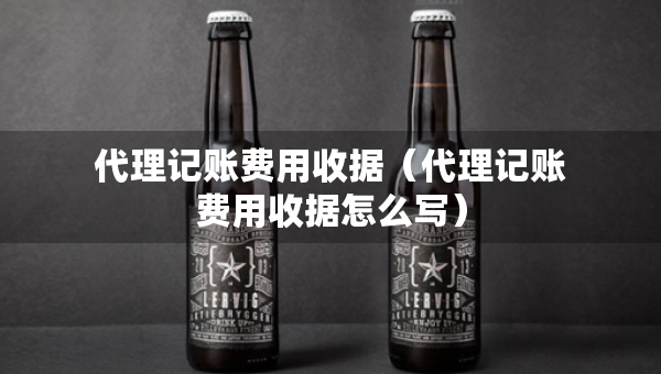 代理記賬費用收據(jù)（代理記賬費用收據(jù)怎么寫）
