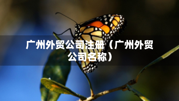 廣州外貿(mào)公司注冊（廣州外貿(mào)公司名稱）