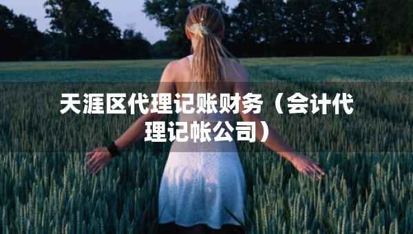 天涯區(qū)代理記賬財(cái)務(wù)（會(huì)計(jì)代理記帳公司）