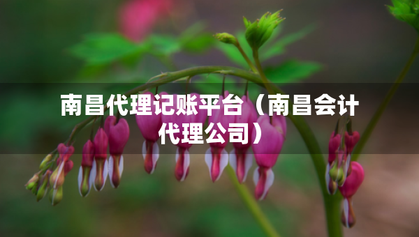 南昌代理記賬平臺(tái)（南昌會(huì)計(jì)代理公司）