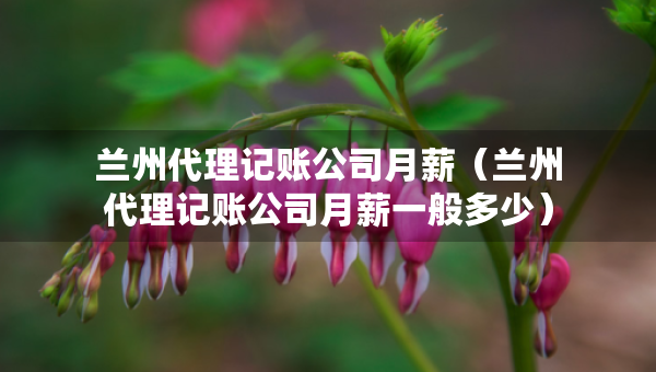 蘭州代理記賬公司月薪（蘭州代理記賬公司月薪一般多少）