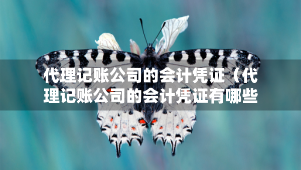 代理記賬公司的會計憑證（代理記賬公司的會計憑證有哪些）
