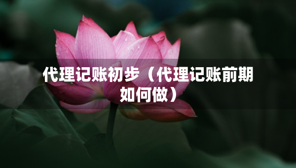 代理記賬初步（代理記賬前期如何做）