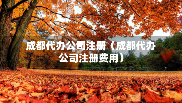成都代辦公司注冊（成都代辦公司注冊費用）