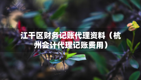 江干區(qū)財(cái)務(wù)記賬代理資料（杭州會(huì)計(jì)代理記賬費(fèi)用）