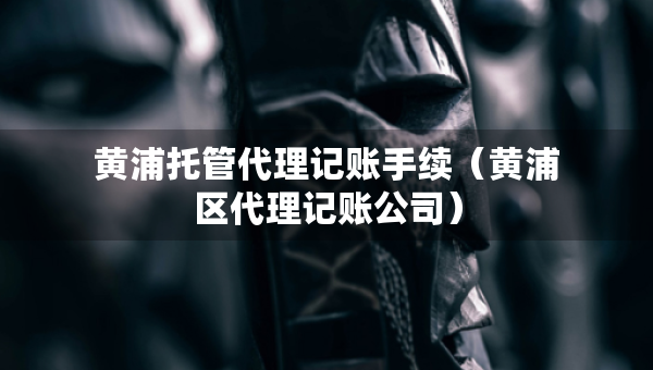 黃浦托管代理記賬手續(xù)（黃浦區(qū)代理記賬公司）