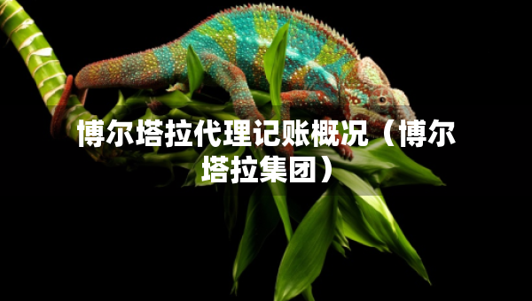博爾塔拉代理記賬概況（博爾塔拉集團）