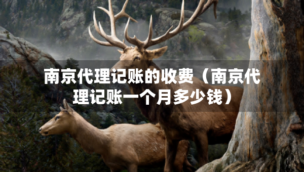 南京代理記賬的收費(fèi)（南京代理記賬一個月多少錢）