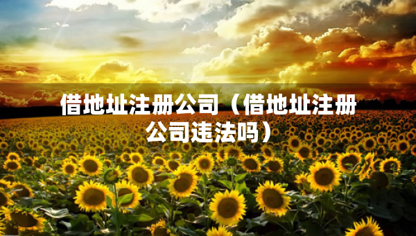 借地址注冊公司（借地址注冊公司違法嗎）