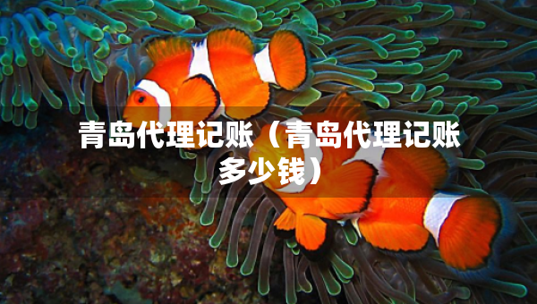 青島代理記賬（青島代理記賬多少錢）