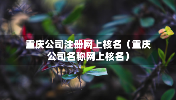 重慶公司注冊網(wǎng)上核名（重慶公司名稱網(wǎng)上核名）