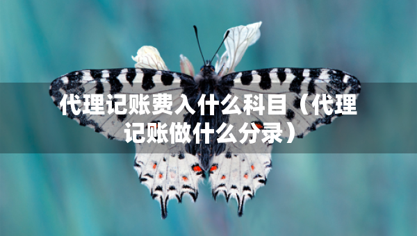 代理記賬費入什么科目（代理記賬做什么分錄）