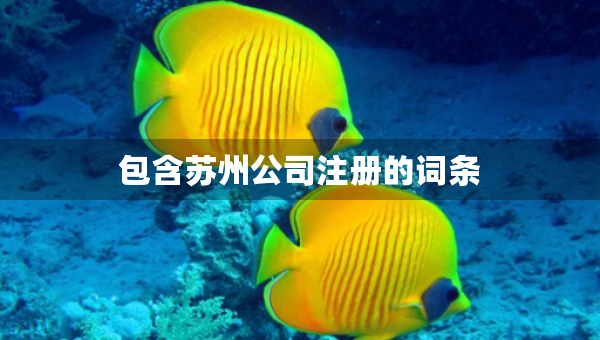 包含蘇州公司注冊的詞條