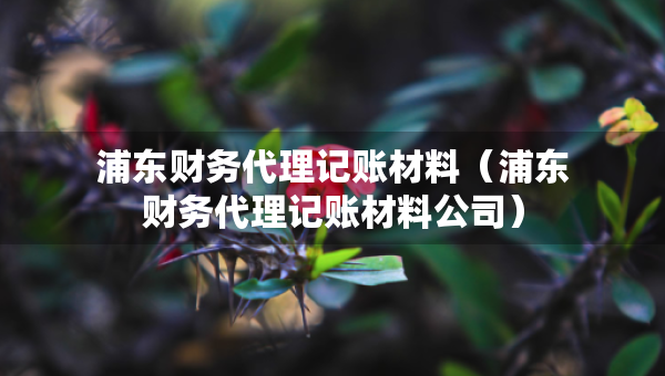 浦東財(cái)務(wù)代理記賬材料（浦東財(cái)務(wù)代理記賬材料公司）
