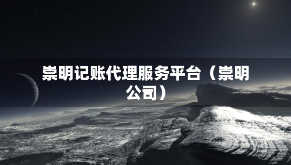 崇明記賬代理服務(wù)平臺（崇明公司）