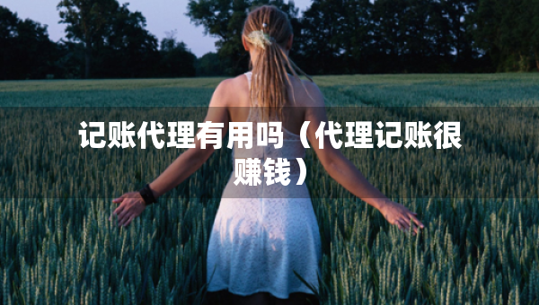 記賬代理有用嗎（代理記賬很賺錢）