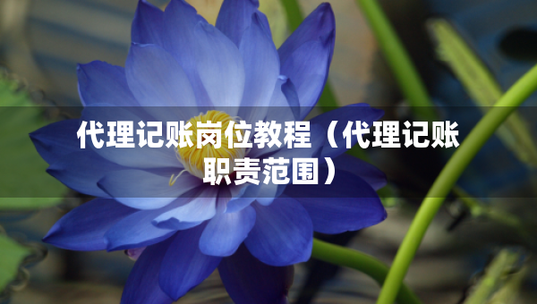 代理記賬崗位教程（代理記賬職責范圍）