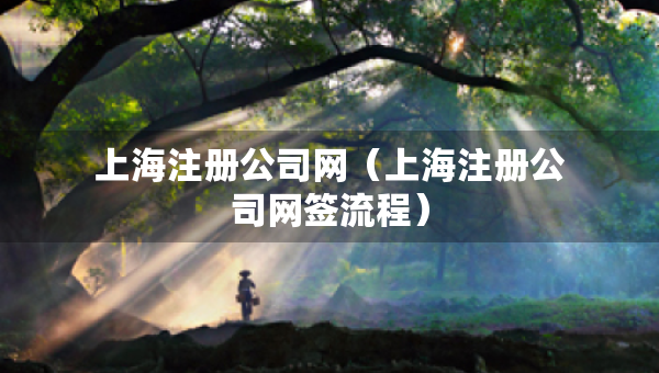 上海注冊(cè)公司網(wǎng)（上海注冊(cè)公司網(wǎng)簽流程）