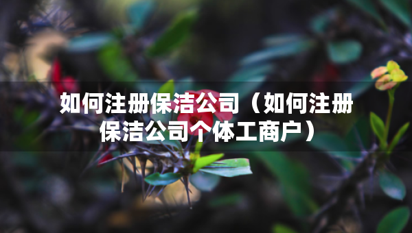 如何注冊(cè)保潔公司（如何注冊(cè)保潔公司個(gè)體工商戶(hù)）