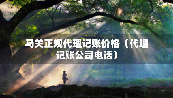 馬關(guān)正規(guī)代理記賬價(jià)格（代理記賬公司電話）