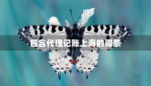 包含代理記賬上海的詞條